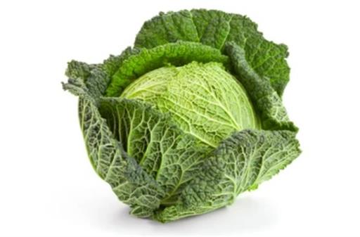 Savoy Cabbage
