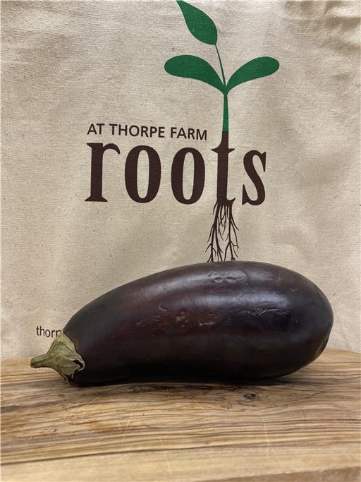 Aubergine