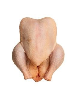 Traditional Cockerel