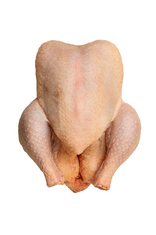 Traditional Cockerel