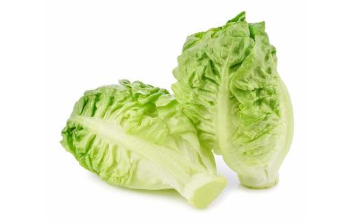 Little Gem lettuce