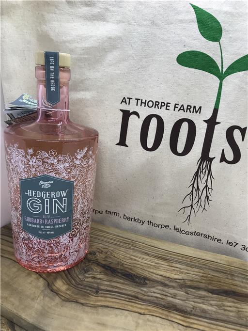 Sloemotion - Hedgerow Raspberry and Rhubarb Gin