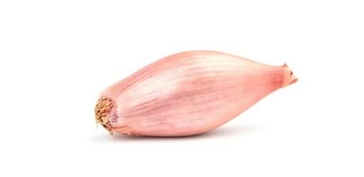 Shallots