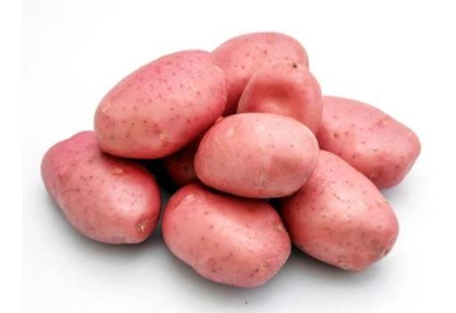 Washed Red Potatoes
