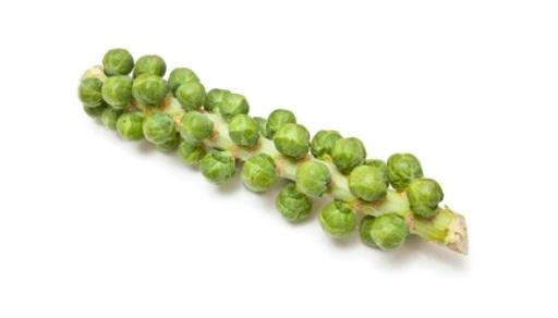 Brussel Sprout Stick