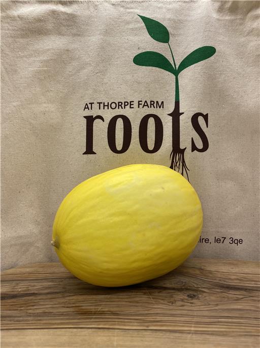 Yellow Melon
