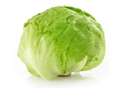 Iceberg Lettuce