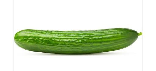 Cucumber