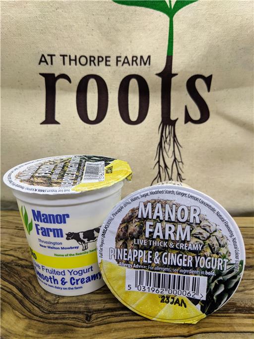 Pineapple & Ginger - Smooth & Creamy 12g