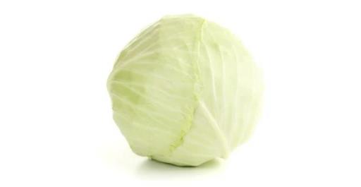 White Cabbage