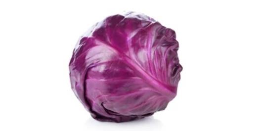 Red Cabbage
